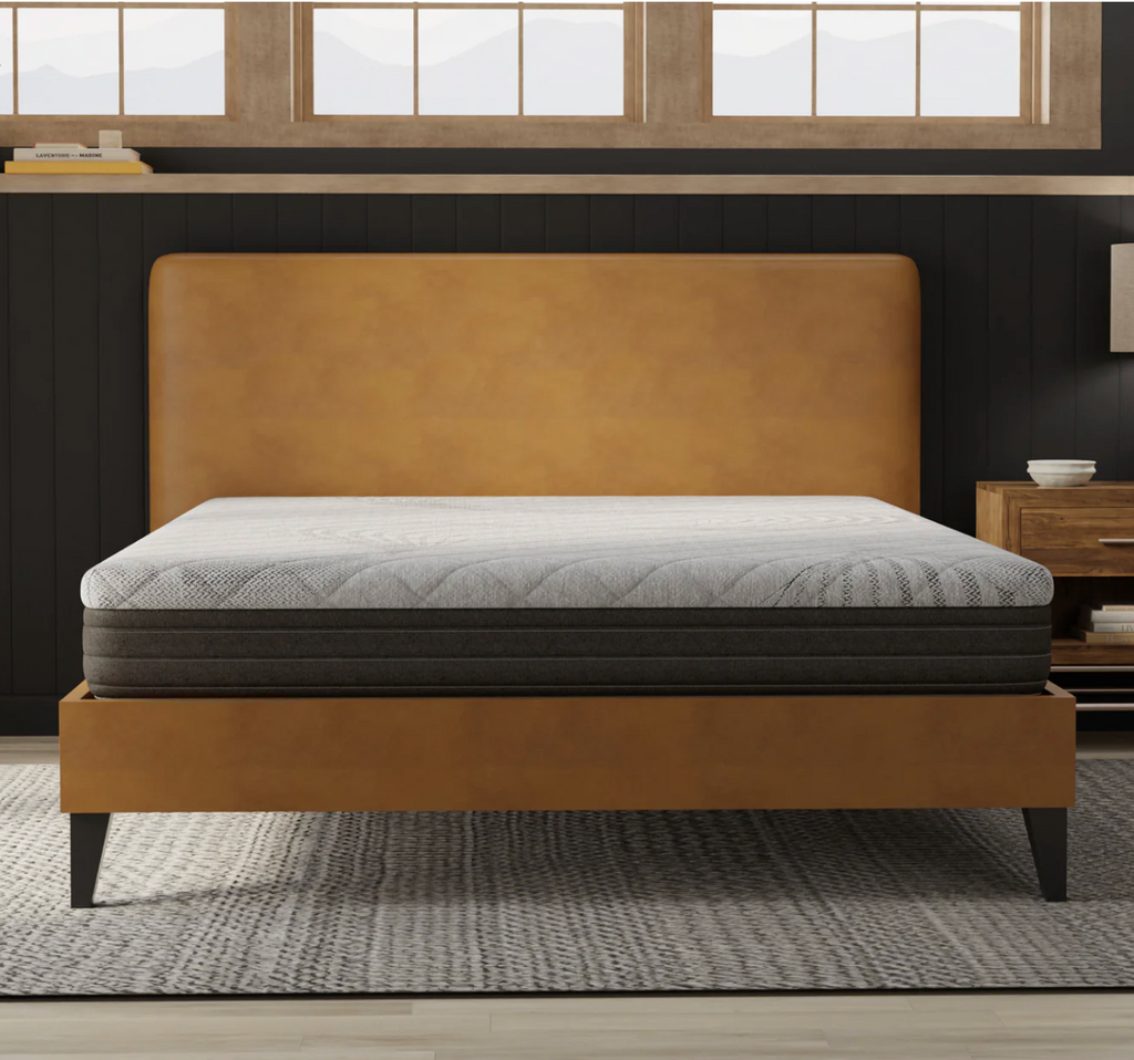 Dorm & Studio Starter Bundle – Twin XL